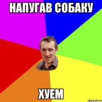 напугав собаку хуем