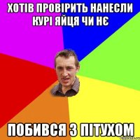 хотів провірить нанесли курі яйця чи нє побився з пітухом