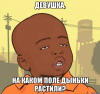 девушка, на каком поле дыньки растили?