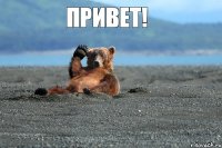 ПРИВЕТ!