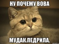 ну почему вова мудак.педрила.