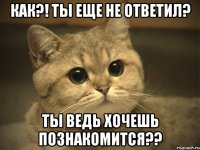 как?! ты еще не ответил? ты ведь хочешь познакомится??