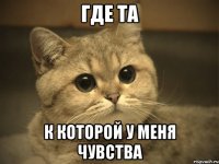 где та к которой у меня чувства