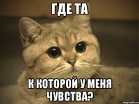 где та к которой у меня чувства?