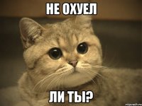 не охуел ли ты?