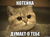 котейка думает о тебе