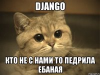 django кто не с нами то педрила ебаная