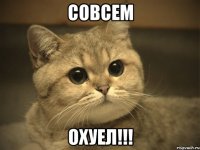 совсем охуел!!!