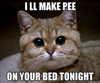 i ll make pee on your bed tonight