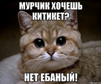 мурчик хочешь китикет? нет ебаный!