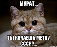 мурат... ты качаешь метку ссср?...