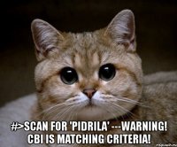  #>scan for 'pidrila' ---warning! cbi is matching criteria!