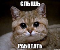 слышь работать