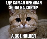 где самая ленивая жопа на свете? а,все,нашел