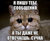 я пишу тебе сообщения а ты даже не отвечаешь, сучка