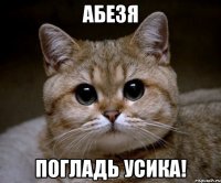 абезя погладь усика!