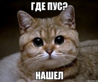 где пус? нашел