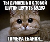 ты думаешь я с тобой шутки шутить буду? гомбра ебаная...