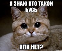 я знаю кто такой бусь или нет?