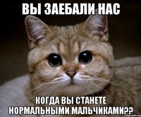 вы заебали нас когда вы станете нормальными мальчиками??