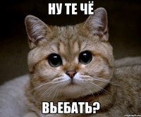 ну те чё вьебать?