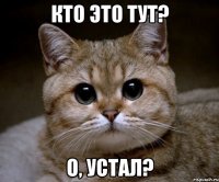 кто это тут? о, устал?