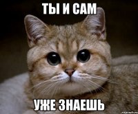 ты и сам уже знаешь