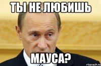 ты не любишь мауса?