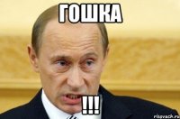 гошка !!!