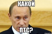 какой птс?