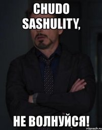 chudo sashulity, не волнуйся!