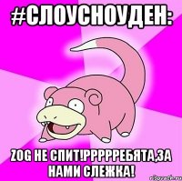 #слоусноуден: zog не спит!ррррребята,за нами слежка!