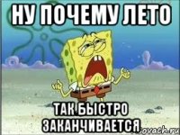 ну почему лето так быстро заканчивается