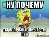 ну почему ты не признаёшь,что ты пеж