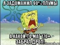 я задомажил 90% плумы а какой-то маг 170+ забрал дроп!