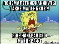 почему летние каникулы такие маленькие?! я не наигрался в майнкрафт