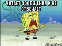 читает сообщения и не отвечает 