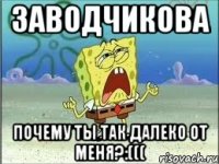 заводчикова почему ты так далеко от меня?:(((