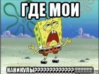 где мои каникулы???!!!