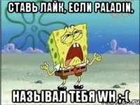 ставь лайк, если paladin, называл тебя wh ;-(