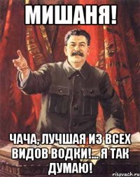 мишаня! чача, лучшая из всех видов водки!... я так думаю!