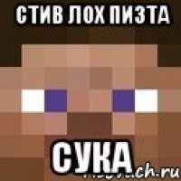 стив лох пизта сука