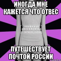 иногда мне кажется что отвес путешествует почтой россии