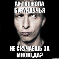 ах ты жопа бурундучья не скучаешь за мною,да?