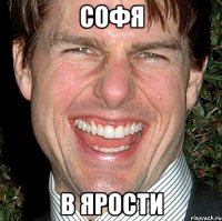 софя в ярости