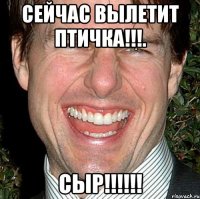 сейчас вылетит птичка!!!. сыр!!!