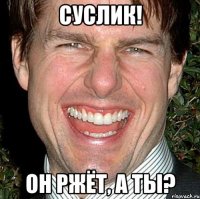 суслик! он ржёт, а ты?