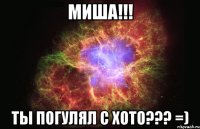 миша!!! ты погулял с хото??? =)