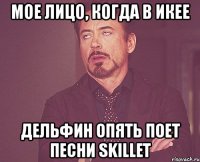 мое лицо, когда в икее дельфин опять поет песни skillet