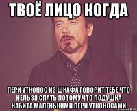 твоё лицо когда пери утконос из шкафа говорит тебе что нельзя спать потому что подушка набита маленькими пери утконосами